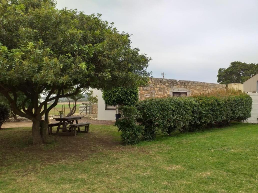 ברדאסדורפ Die Buitekamer מראה חיצוני תמונה