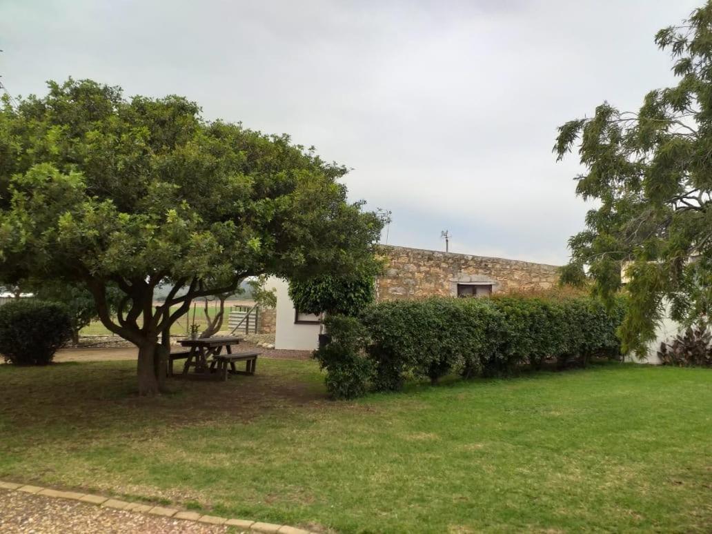 ברדאסדורפ Die Buitekamer מראה חיצוני תמונה